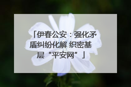 伊春公安：强化矛盾纠纷化解 织密基层“平安网”