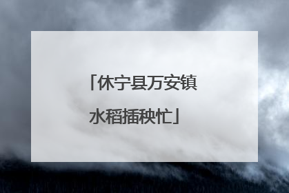休宁县万安镇水稻插秧忙