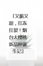 又脆又甜，扛冻扛裂！烟台大樱桃新品种诞生记