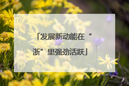 发展新动能在“浙”里强劲活跃