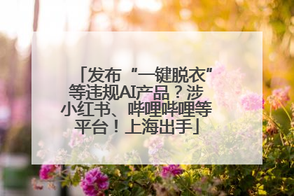 发布“一键脱衣”等违规AI产品？涉小红书、哔哩哔哩等平台！上海出手