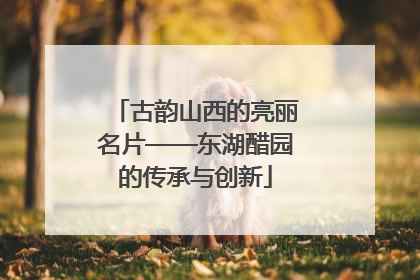 古韵山西的亮丽名片——东湖醋园的传承与创新