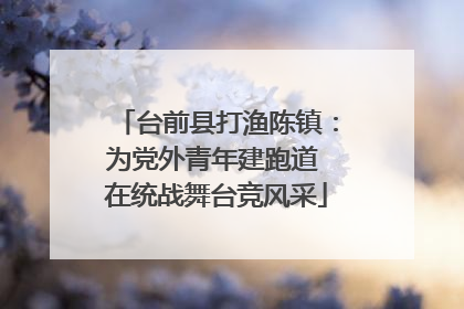 台前县打渔陈镇：为党外青年建跑道 在统战舞台竞风采