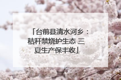 台前县清水河乡：秸秆禁烧护生态 三夏生产保丰收