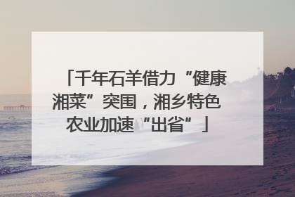 千年石羊借力“健康湘菜”突围，湘乡特色农业加速“出省”