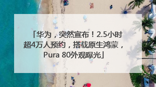 华为，突然宣布！2.5小时超4万人预约，搭载原生鸿蒙，Pura 80外观曝光