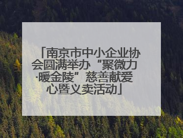 南京市中小企业协会圆满举办“聚微力·暖金陵”慈善献爱心暨义卖活动