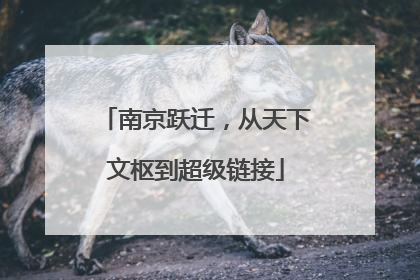 南京跃迁，从天下文枢到超级链接