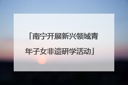 南宁开展新兴领域青年子女非遗研学活动