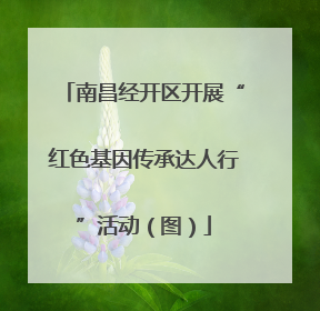 南昌经开区开展“红色基因传承达人行”活动（图）