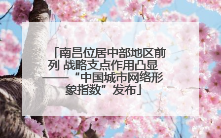 南昌位居中部地区前列 战略支点作用凸显——“中国城市网络形象指数”发布