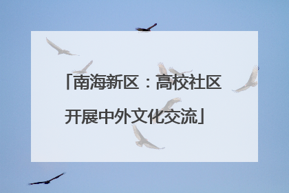南海新区：高校社区开展中外文化交流