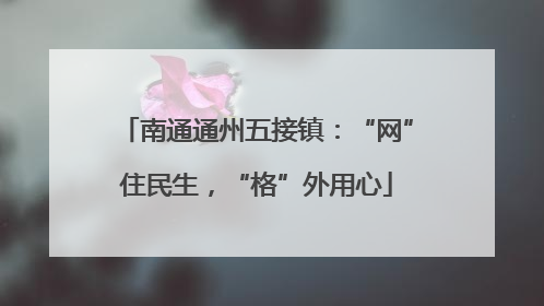 南通通州五接镇：“网”住民生，“格”外用心