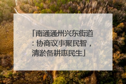 南通通州兴东街道：协商议事聚民智，清淤备耕惠民生