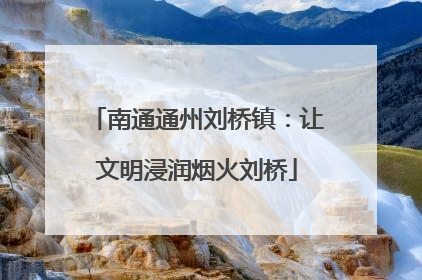南通通州刘桥镇：让文明浸润烟火刘桥