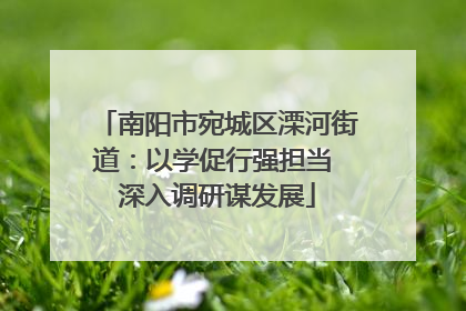南阳市宛城区溧河街道：以学促行强担当 深入调研谋发展