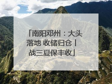 南阳邓州：大头落地 收储归仓丨战三夏保丰收