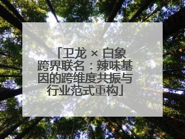 卫龙 × 白象跨界联名：辣味基因的跨维度共振与行业范式重构