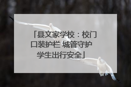 县文家学校：校门口装护栏 城管守护学生出行安全