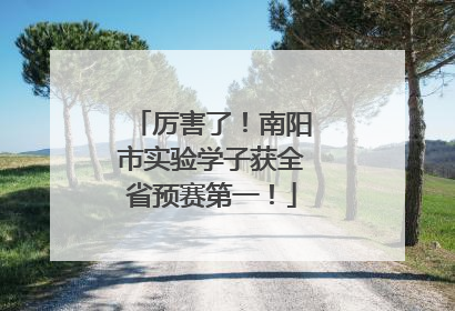 厉害了！南阳市实验学子获全省预赛第一！
