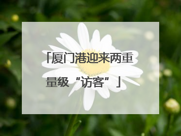 厦门港迎来两重量级“访客”