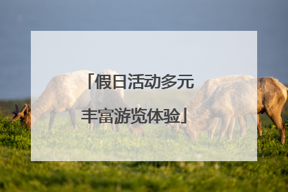 假日活动多元 丰富游览体验