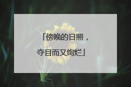 傍晚的日照，夺目而又绚烂