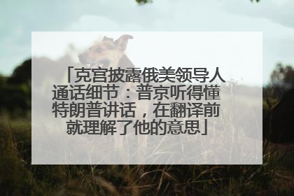 克宫披露俄美领导人通话细节：普京听得懂特朗普讲话，在翻译前就理解了他的意思