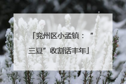 兖州区小孟镇：“三夏”收割话丰年