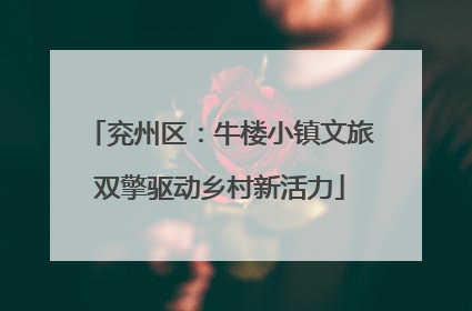 兖州区：牛楼小镇文旅双擎驱动乡村新活力