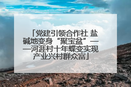 党建引领合作社 盐碱地变身“聚宝盆”——河涯村十年蝶变实现产业兴村群众富