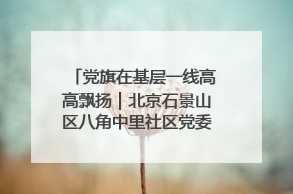 党旗在基层一线高高飘扬｜北京石景山区八角中里社区党委：用脚步丈量民生