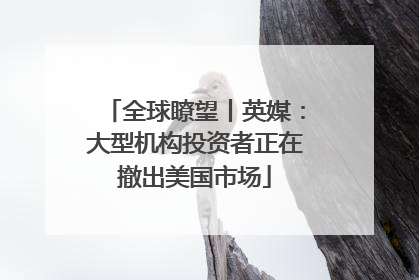 全球瞭望丨英媒：大型机构投资者正在撤出美国市场