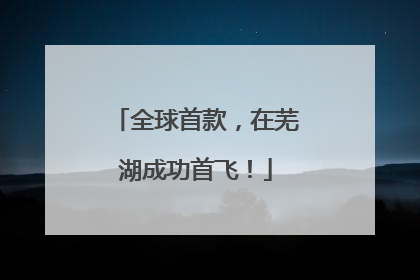 全球首款，在芜湖成功首飞！