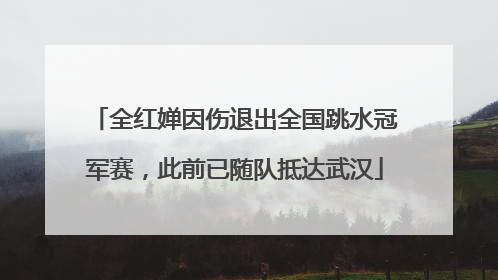 全红婵因伤退出全国跳水冠军赛，此前已随队抵达武汉