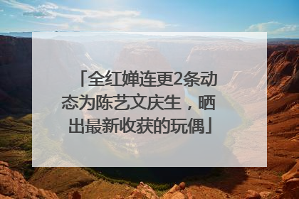 全红婵连更2条动态为陈艺文庆生，晒出最新收获的玩偶