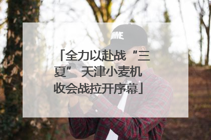 全力以赴战“三夏” 天津小麦机收会战拉开序幕
