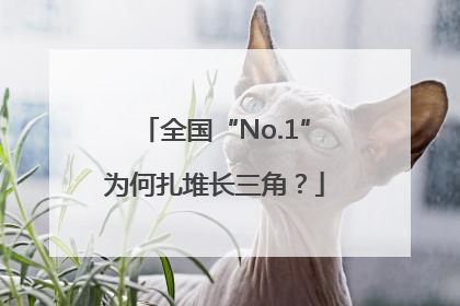 全国“No.1”为何扎堆长三角？