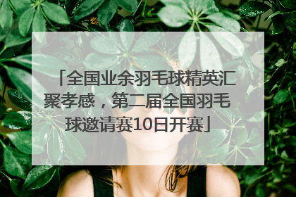 全国业余羽毛球精英汇聚孝感，第二届全国羽毛球邀请赛10日开赛
