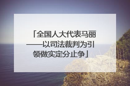 全国人大代表马丽——以司法裁判为引领做实定分止争