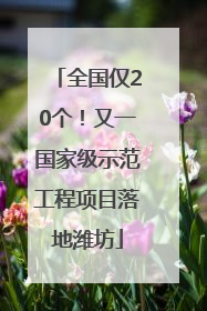 全国仅20个！又一国家级示范工程项目落地潍坊
