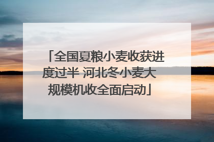 全国夏粮小麦收获进度过半 河北冬小麦大规模机收全面启动