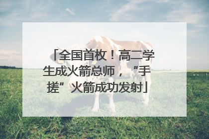 全国首枚！高二学生成火箭总师，“手搓”火箭成功发射