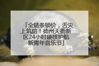 全链条锁价，舌尖上筑防！德州天衢新区24小时硬核护航新青年音乐节