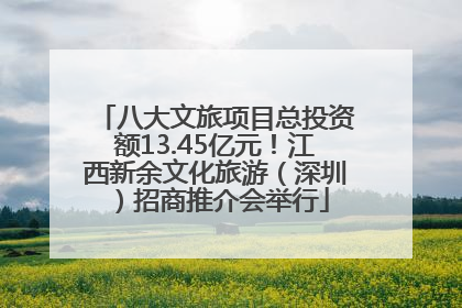 八大文旅项目总投资额13.45亿元！江西新余文化旅游（深圳）招商推介会举行