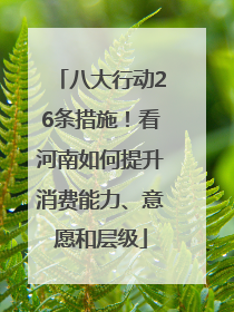 八大行动26条措施！看河南如何提升消费能力、意愿和层级