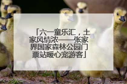 六一童乐汇，土家风情浓——张家界国家森林公园门票站暖心宠游客