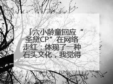 六小龄童回应“圣黛CP”在网络走红：体现了一种石头文化，我觉得挺有意思