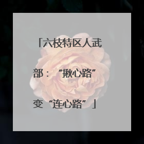 六枝特区人武部：“揪心路”变“连心路”