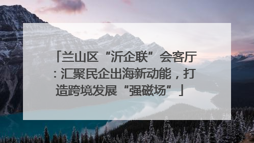 兰山区“沂企联”会客厅：汇聚民企出海新动能，打造跨境发展“强磁场”